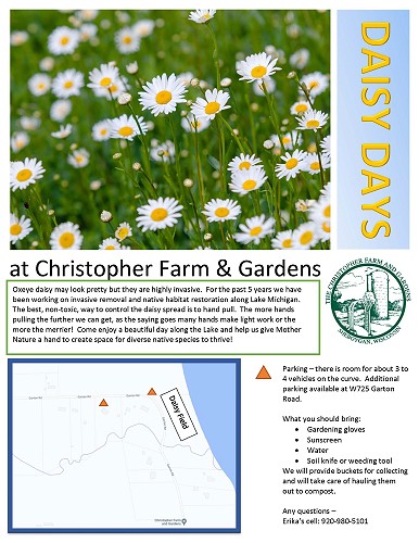 Daisy Days - Helping Mother Earth & Cancer Survivors Heal!